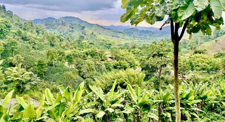 Omgeving van Manizales Omgeving van Manizales